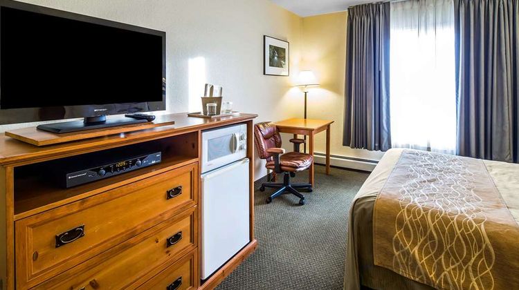 Quality Inn Room