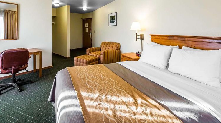 Quality Inn Room