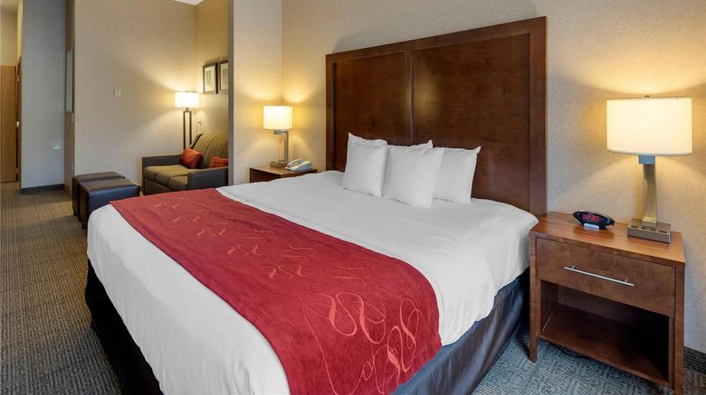 <b>Comfort Suites Anchorage Intl Airport Room</b>. Images powered by <a href="https://iceportal.shijigroup.com/" title="IcePortal" target="_blank">IcePortal</a>.