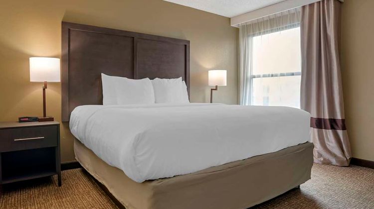 Comfort Inn Opelika - Auburn Suite