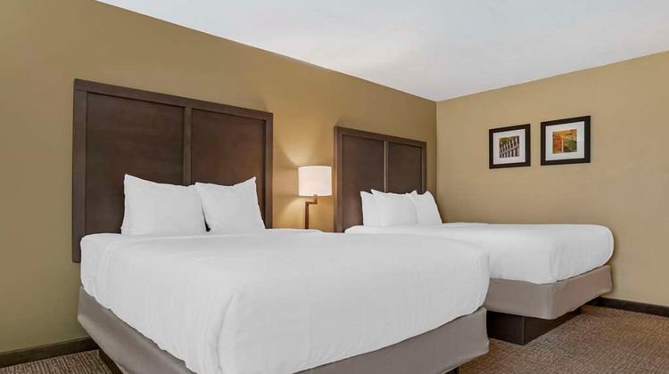 Comfort Inn Opelika - Auburn Room