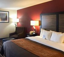 Quality Inn Edmund Pettus Bridge area Room