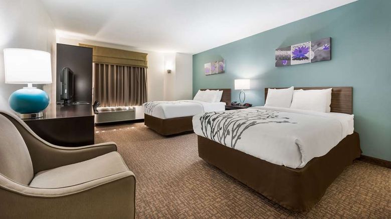 <b>Sleep Inn and Suites Cullman I-65 Room</b>. Images powered by <a href="https://iceportal.shijigroup.com/" title="IcePortal" target="_blank">IcePortal</a>.