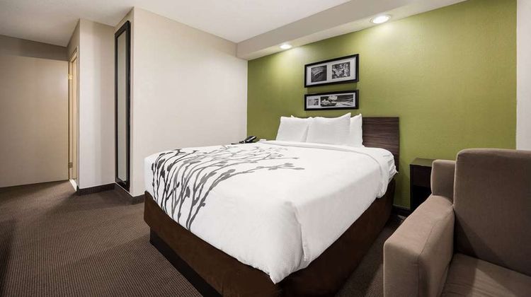 Sleep Inn Athens I-65 Room