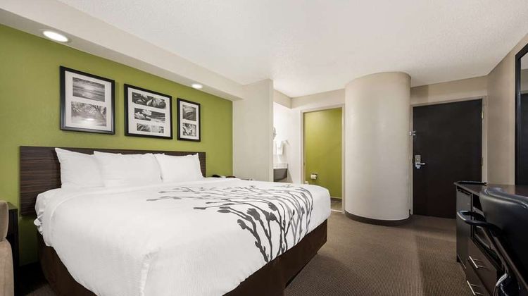 Sleep Inn Athens I-65 Room
