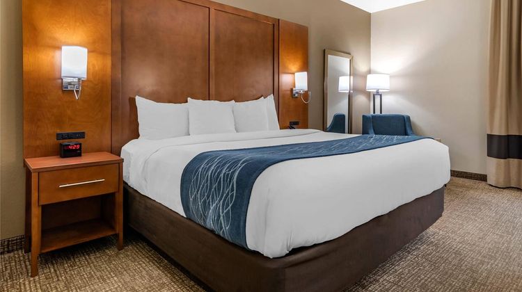 Comfort Inn Room