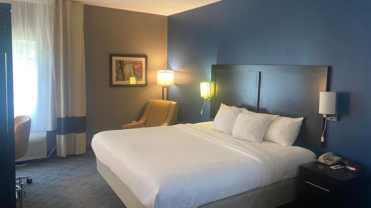Comfort Inn & Suites Room