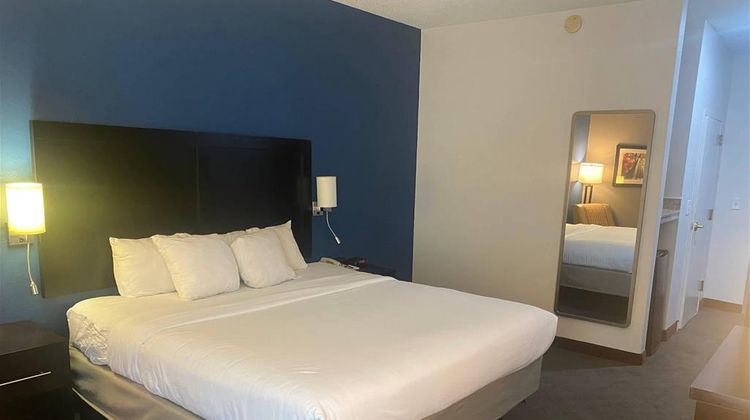 Comfort Inn & Suites Room