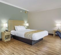 Quality Inn Gulf Shores Room