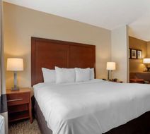 Comfort Suites Room