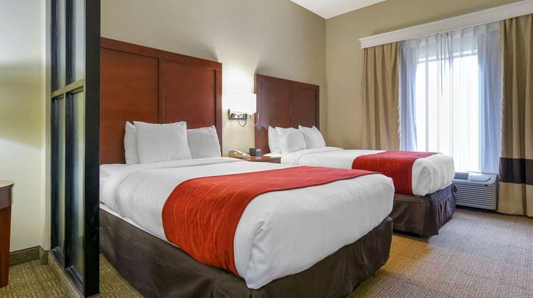 Comfort Suites Suite