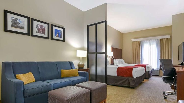 Comfort Suites Suite