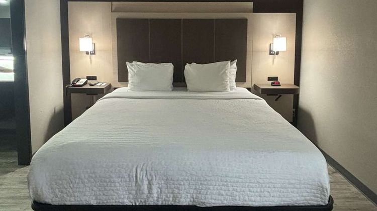 Quality Inn & Suites Room