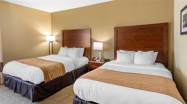 Comfort Inn Lincoln Room