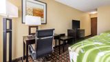 <b>Econo Lodge Boaz Room</b>. Images powered by <a href="https://iceportal.shijigroup.com/" title="IcePortal" target="_blank">IcePortal</a>.