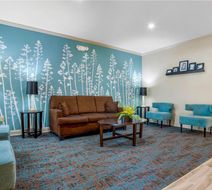 Sleep Inn & Suites Lobby