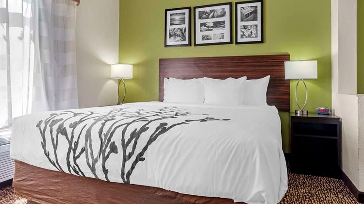 Sleep Inn & Suites Suite