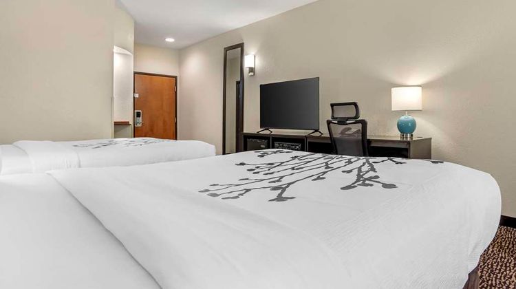 Sleep Inn & Suites Room