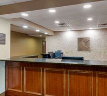 Comfort Inn & Suites Lobby