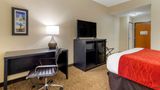 Comfort Inn & Suites Room
