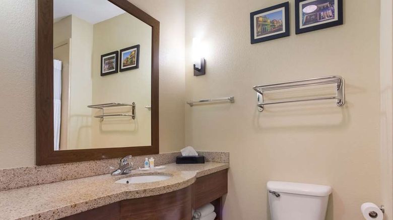 <b>Comfort Suites Saraland - North Mobile Room</b>. Images powered by <a href="https://iceportal.shijigroup.com/" title="IcePortal" target="_blank">IcePortal</a>.