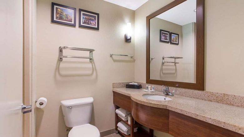 <b>Comfort Suites Saraland - North Mobile Room</b>. Images powered by <a href="https://iceportal.shijigroup.com/" title="IcePortal" target="_blank">IcePortal</a>.