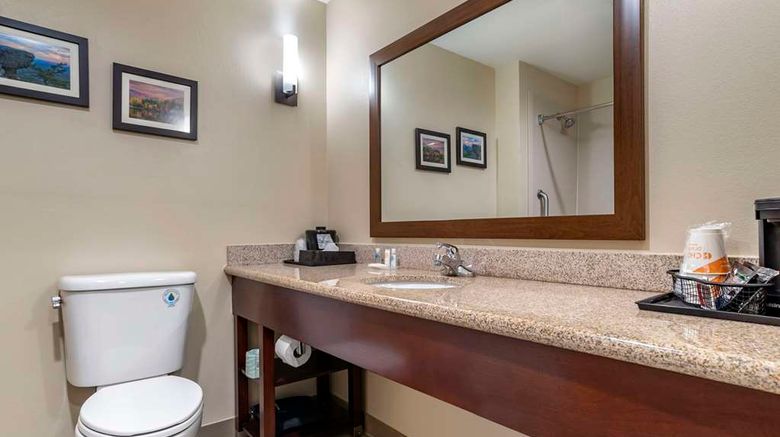 <b>Comfort Suites Pell City Suite</b>. Images powered by <a href="https://iceportal.shijigroup.com/" title="IcePortal" target="_blank">IcePortal</a>.