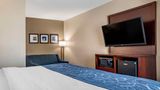 Comfort Suites Pell City Suite