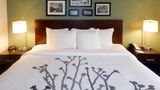 Sleep Inn and Suites Evergreen I-65 Room