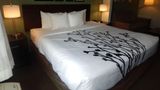 Sleep Inn and Suites Evergreen I-65 Suite