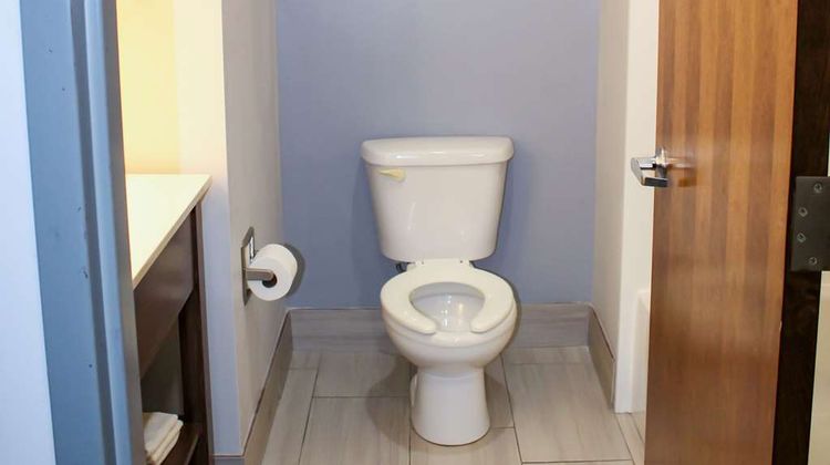 Comfort Inn & Suites Room