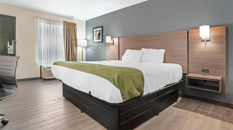 Quality Inn Foley Room
