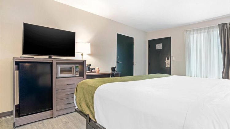Quality Inn Foley Room