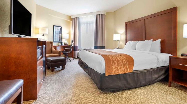 Comfort Inn & Suites Daphne Room