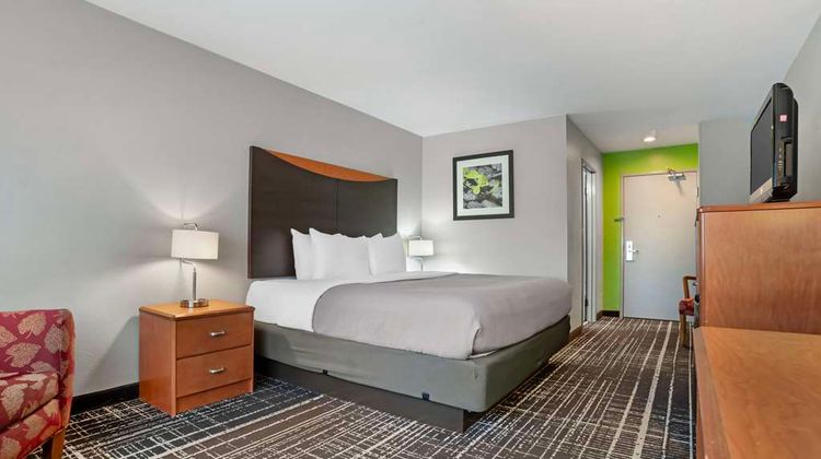 Quality Inn & Suites-Highway 280 Room