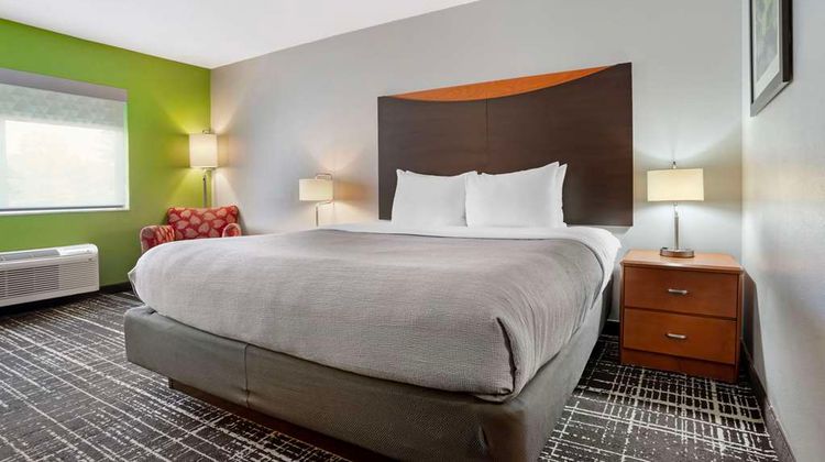 Quality Inn & Suites-Highway 280 Room