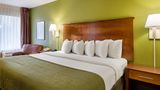 <b>Quality Inn Room</b>. Images powered by <a href="https://iceportal.shijigroup.com/" title="IcePortal" target="_blank">IcePortal</a>.