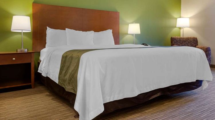Quality Inn Room