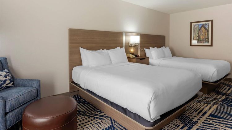 Comfort Inn & Suites Room