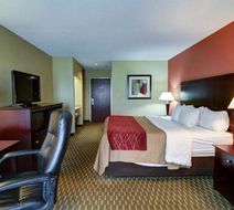 Quality Inn Room