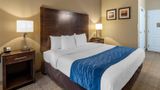 Comfort Inn & Suites Room