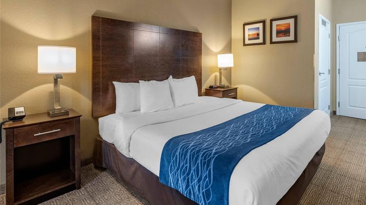 Comfort Inn & Suites Room