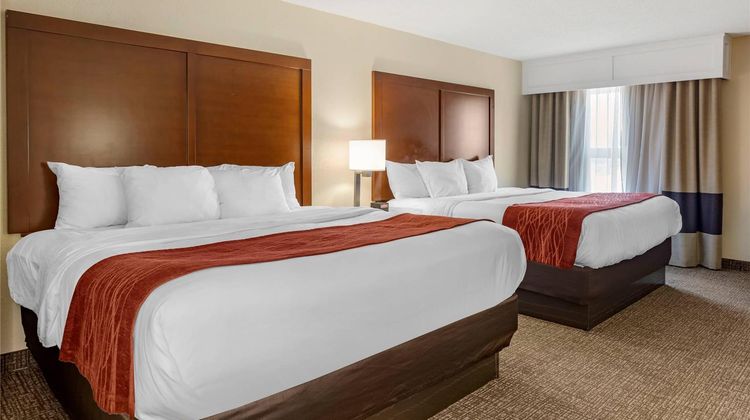 Comfort Inn and Suites Little Rock Airport Room