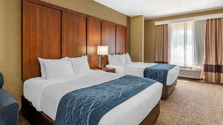 Comfort Inn and Suites El Dorado Room