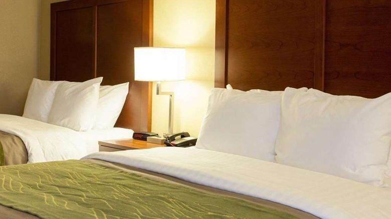 <b>Quality Inn & Suites 1-40 East Room</b>. Images powered by <a href="https://iceportal.shijigroup.com/" title="IcePortal" target="_blank">IcePortal</a>.