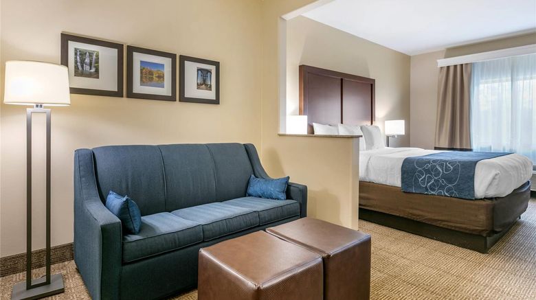 <b>Comfort Suites, Batesville Suite</b>. Images powered by <a href="https://iceportal.shijigroup.com/" title="IcePortal" target="_blank">IcePortal</a>.