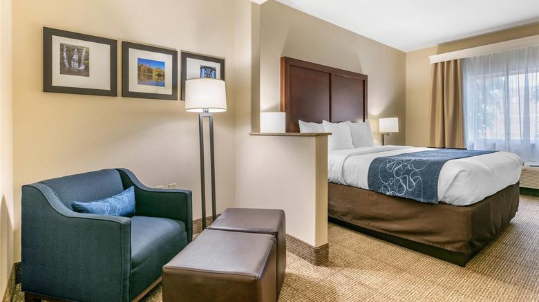 <b>Comfort Suites, Batesville Suite</b>. Images powered by <a href="https://iceportal.shijigroup.com/" title="IcePortal" target="_blank">IcePortal</a>.