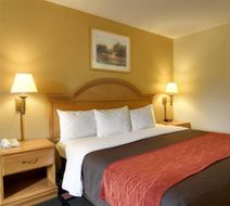 Quality Inn & Suuites Room
