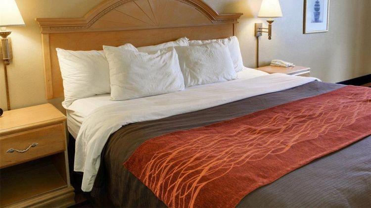 Quality Inn & Suuites Suite