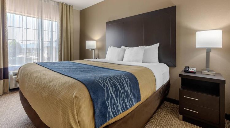 Comfort Inn & Suites Suite